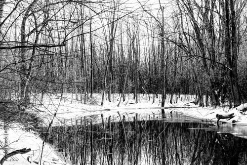 A relaxing scene in a wooded area after the first snow, bordering a river reflecting the bare trees in black and white