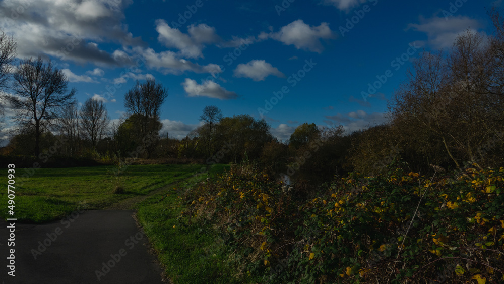 Obraz premium landscape with sky