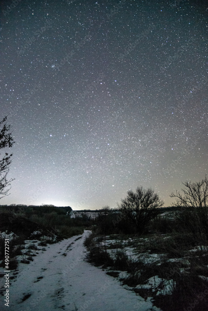 Naklejka premium sky with stars forest in the night . Night landscape. Nightsky and clouds . Stars in the sky . Lights of the city . 