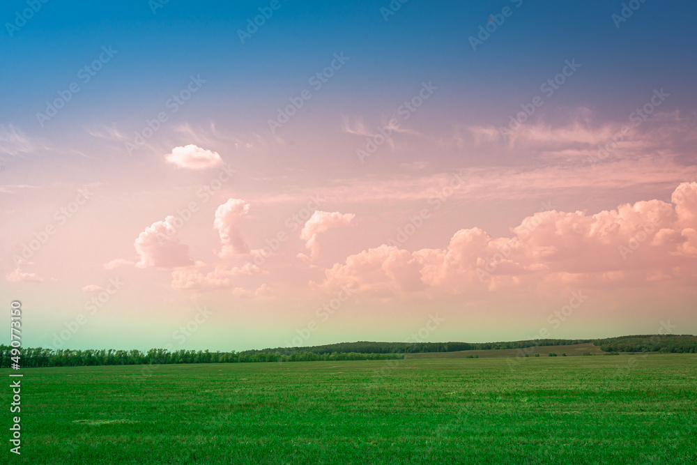 Green field with grass and pink sky with clouds.