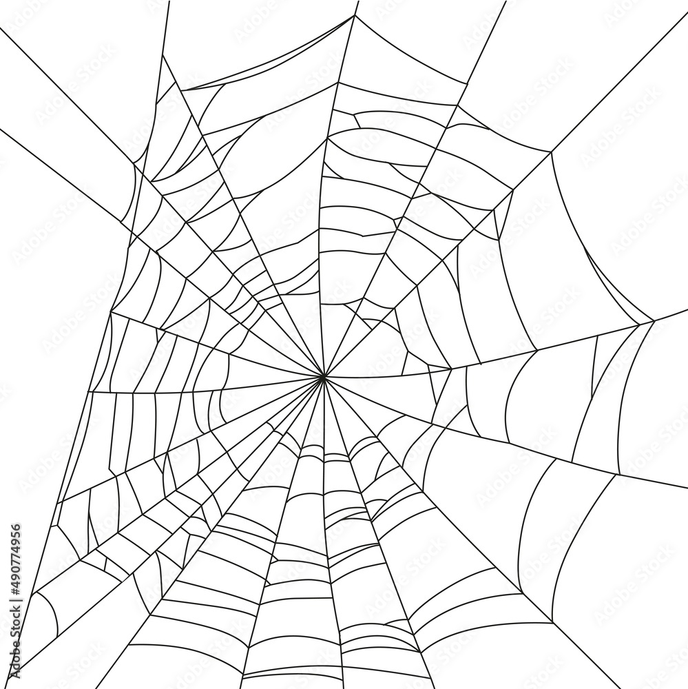 Obraz premium Big sloppy web outlined on white background.