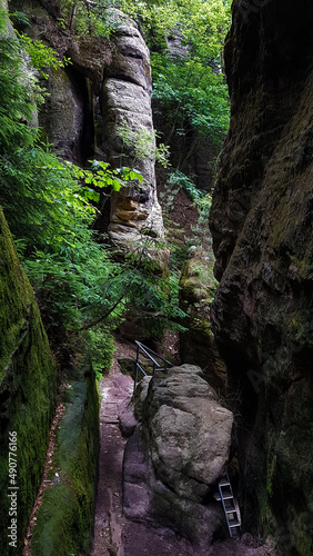 Hiking trail through a damp mossy rocky gorge, Saxony, Germany