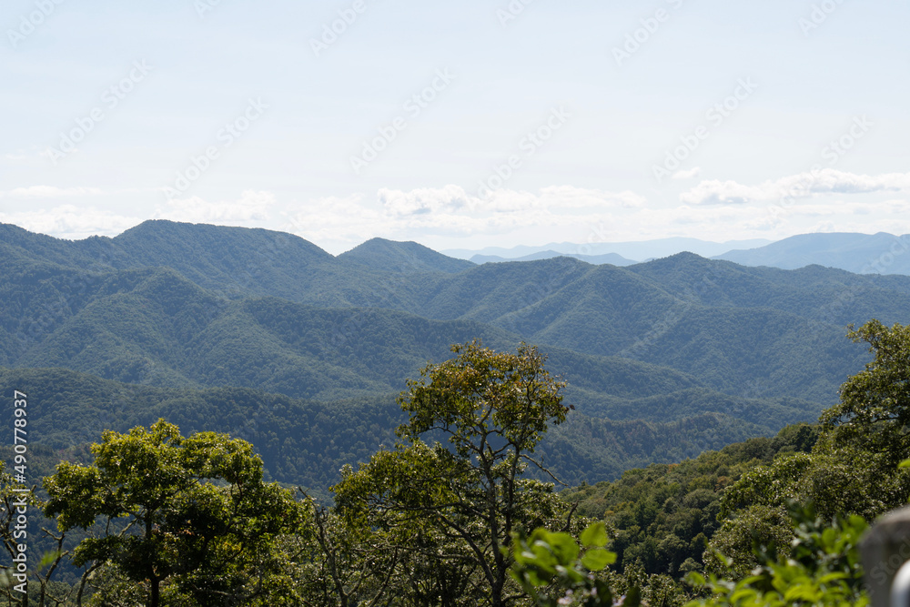 view from the mountain