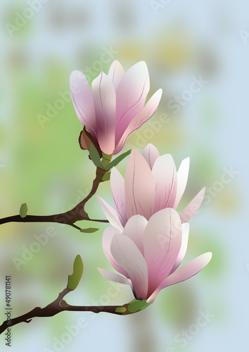 Three cute pink magnolias on light background