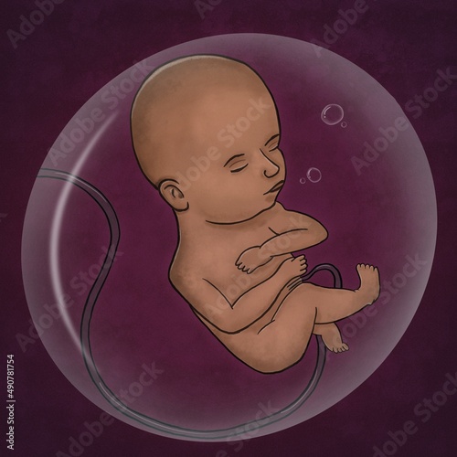 Human fetus inside the womb, illustration