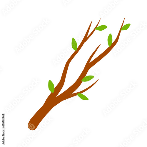 Tree branch with leaf on white background illustration.