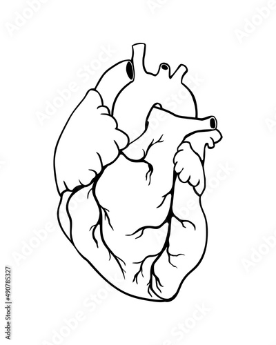 Human heart black on white illustration