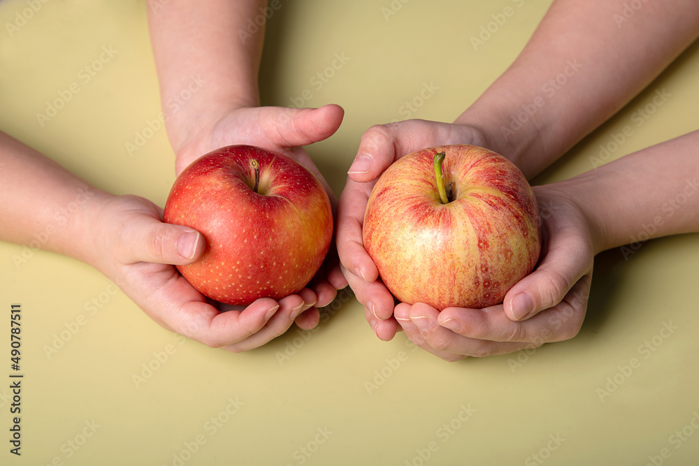 juicy, fresh, red apples in the hands of a child juicy, fresh, red apples in the hands of a child