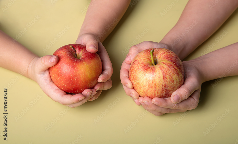juicy, fresh, red apples in the hands of a child juicy, fresh, red apples in the hands of a child