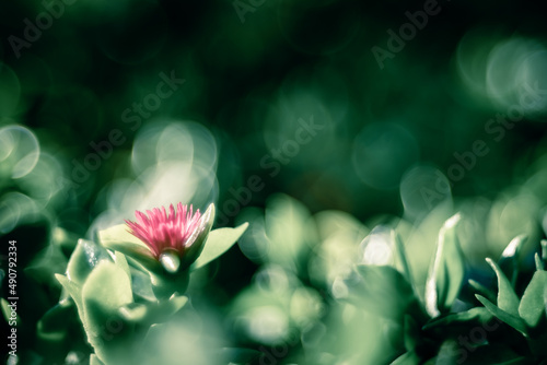 Spring background - abstract nature background with green blurred bokeh lights -