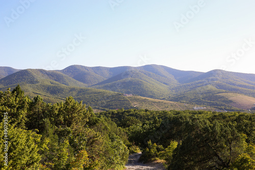 Dense forest against the backdrop of plantations and mountain hills turning into the horizon on a clear sunny day with a clear sky