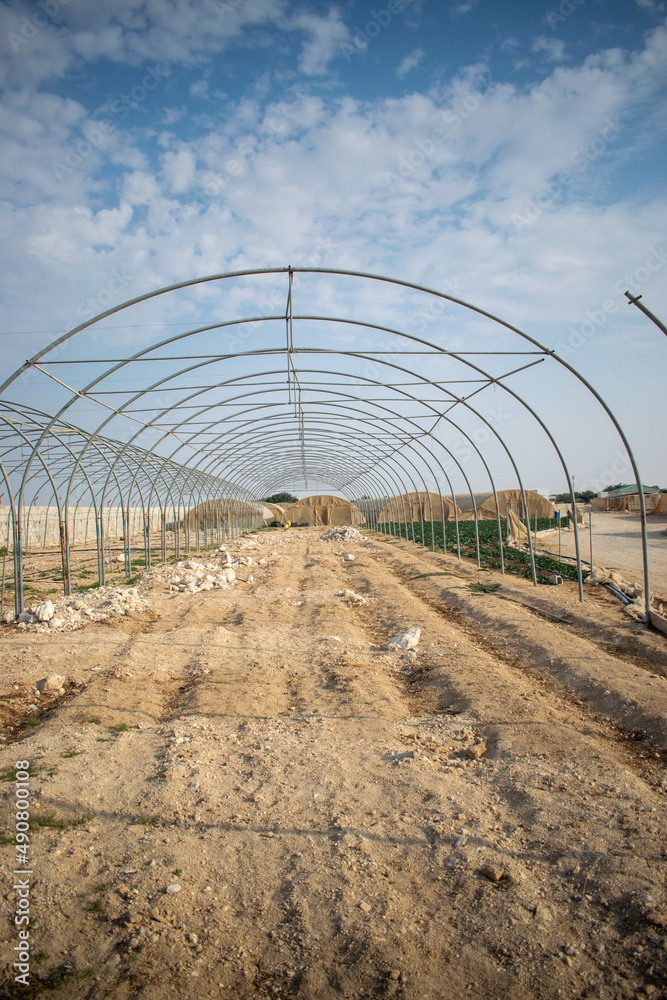 Construction of greenhouses on a farm in Doha, Qatar Construction of greenhouses on a farm in Doha, Qatar