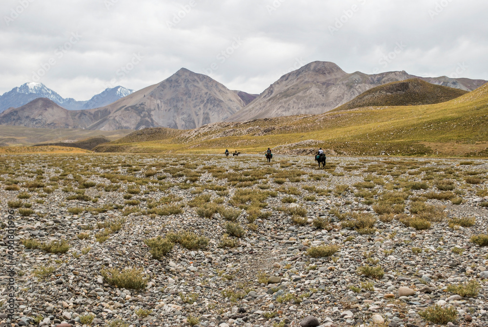 Horseback riding in the mountains. Travel through the mountains in Mendoza, Argentina. Horseback riding in the mountains. Travel through the mountains in Mendoza, Argentina.