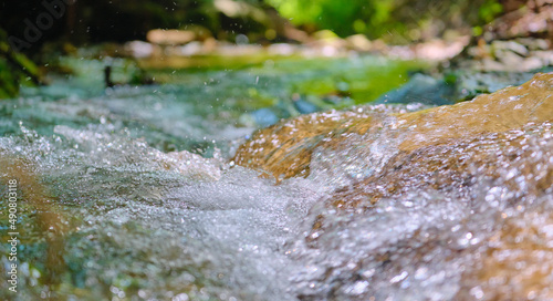 Fotografia Closeup shot of a fresh mountain creek streaming through the forest