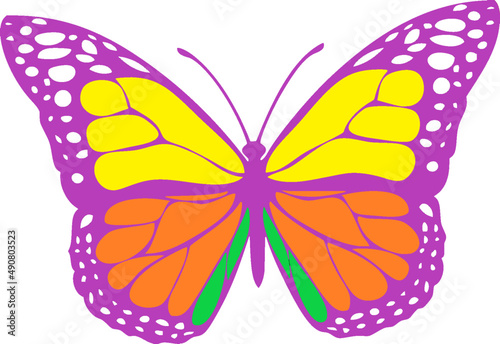 colorful butterfly
