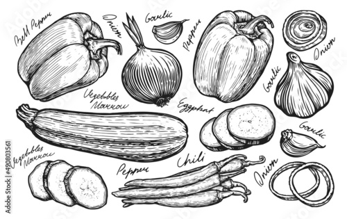 Fresh vegetables set sketch. Farm food hand drawn vector illustration