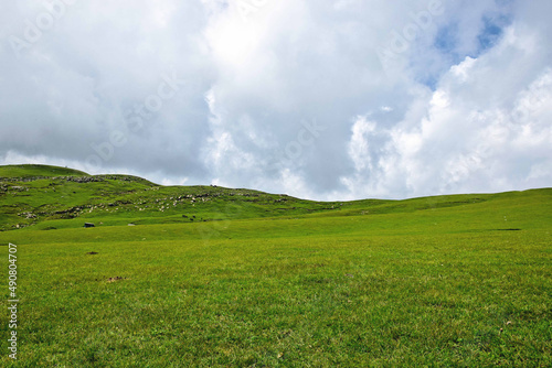 Scenic view of the green Tolipeer Meadows under the cloudy sky, Pakistan photo