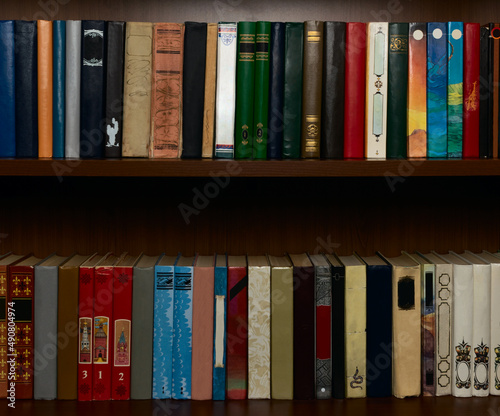 Wooden bookshelf with two rows of books in multicolored covers