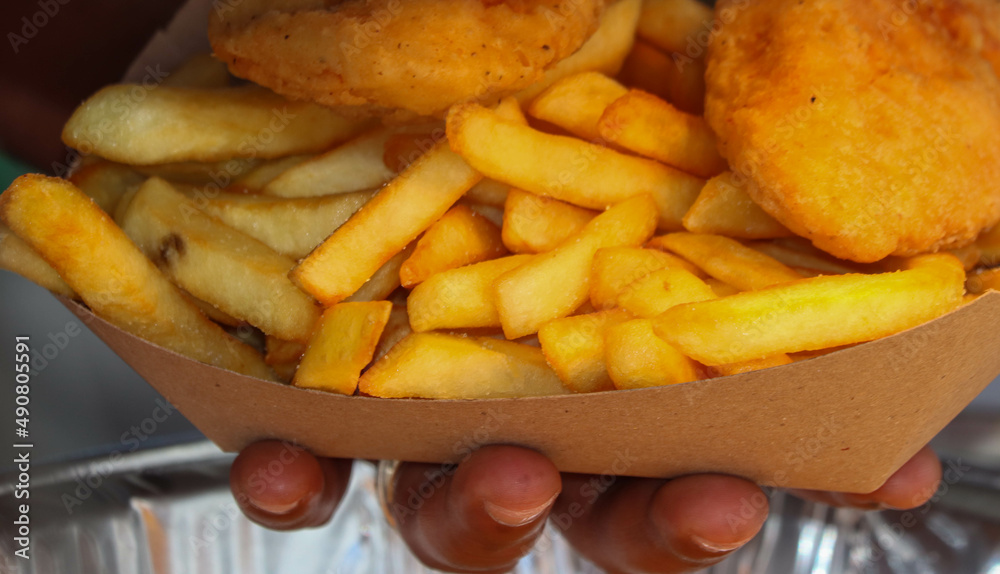 Carnival and Festival Food Carnival and Festival Food