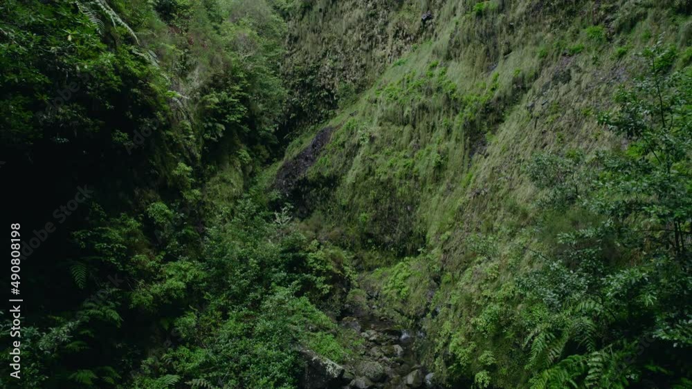 Beautiful waterfall in green forest, top view. Tropical in mountain jungle. River in the gorge 4k 30 FPS Beautiful waterfall in green forest, top view. Tropical in mountain jungle. River in the gorge 4k 30 FPS