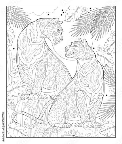 Illustration of two leopards in the jungle. Wildlife animals. Image in zen-tangle style. Printable page for drawing and meditation. Coloring book for children and adults. Black and white vector.