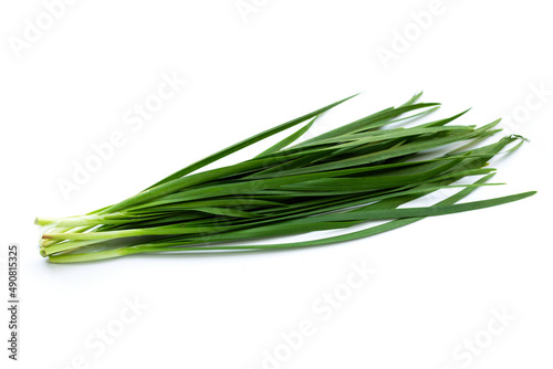 Fresh Chinese Chive leaves on white background.