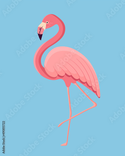 Vector illustration of a flamingo. © Irina Anashkevich