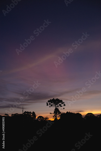 Fim de tarde na serra