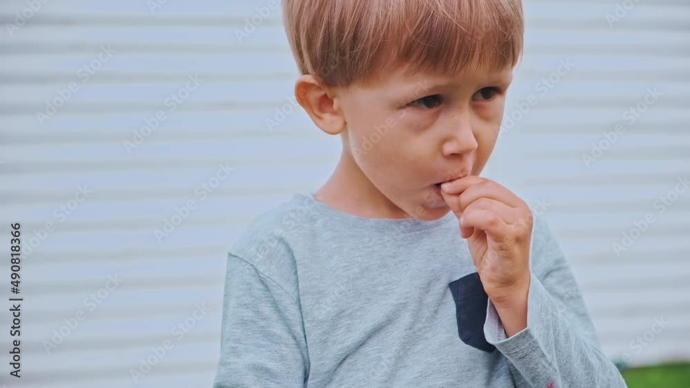 Child 4 years old holding and eating raspberries in backyard Child 4 years old holding and eating raspberries in backyard