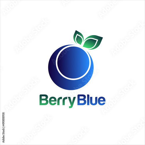 Modern blueberry logo design illustration