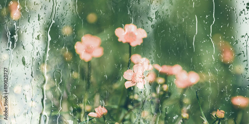 Abstract blurred background with pink small flowers and green grass behind a wet window with raindrops and flowing water on it