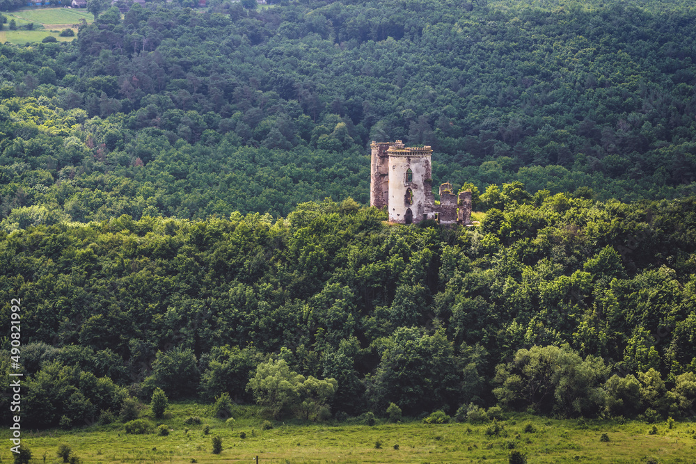 View with Poninski Family Polish castle in former town of Chervonohorod - Chervone, Ukraine