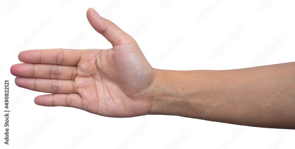  hand and showing 5 fingers gesture isolate