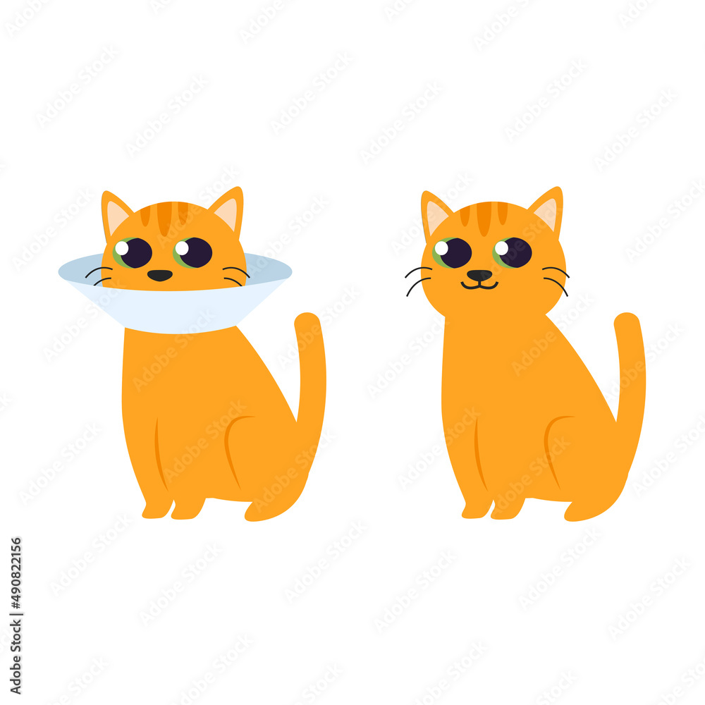 sick cat with collar cone illustrationsick cat with collar cone illustration