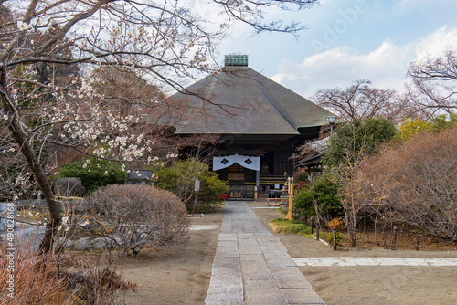 梅が咲く春の多聞院毘沙門堂／日本埼玉県所沢市 photo