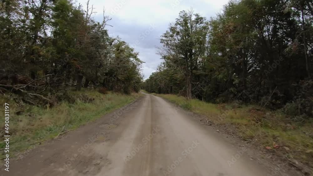 Travling. Point of view of a car speeding along the rural road in the woods. Travling. Point of view of a car speeding along the rural road in the woods.