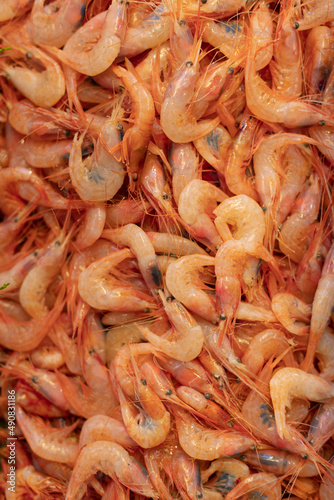 fresh shrimp on the counter of the store