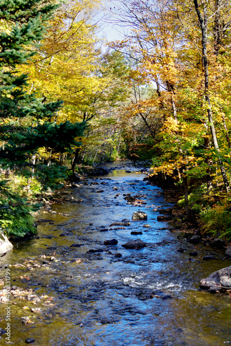 Beautiful scenery with the colors of Fall surrounding the rapids in a small river and a clear blue sky, HDR rendered photos