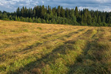 Mowed field on a warm August evening. Karelia