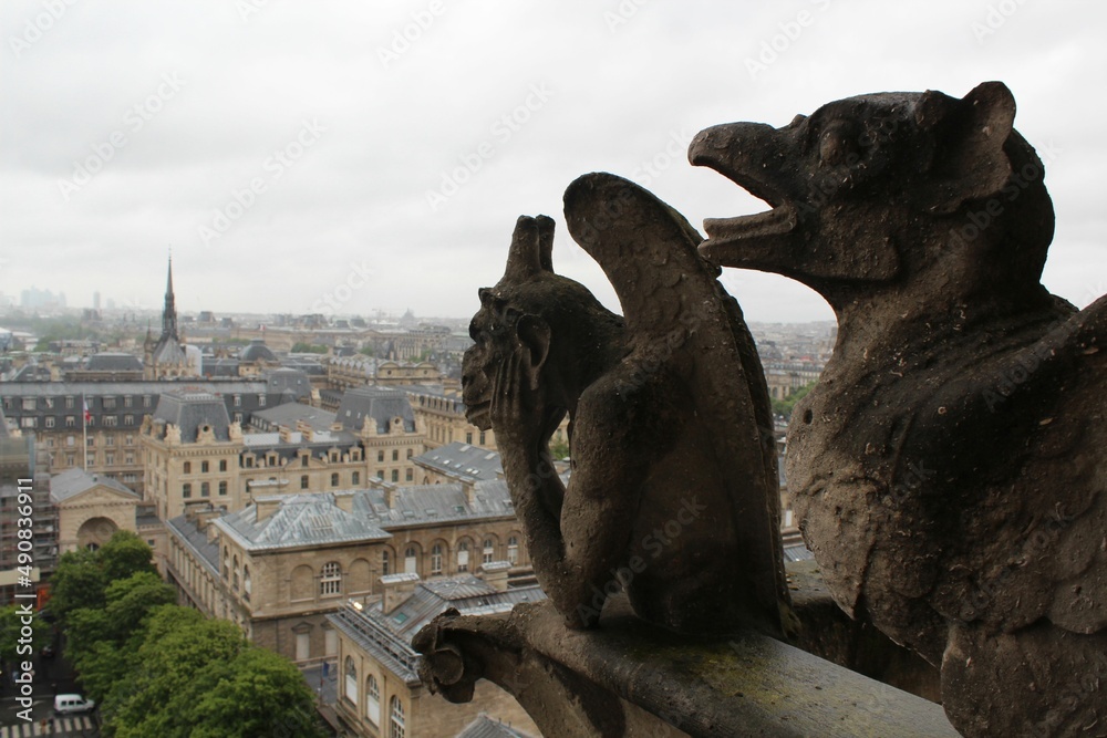 Gargoyle on notre dame cathedral city. Paris. France.