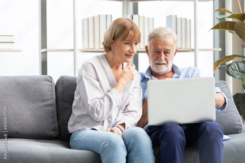 senior couple using laptop computer on sofa