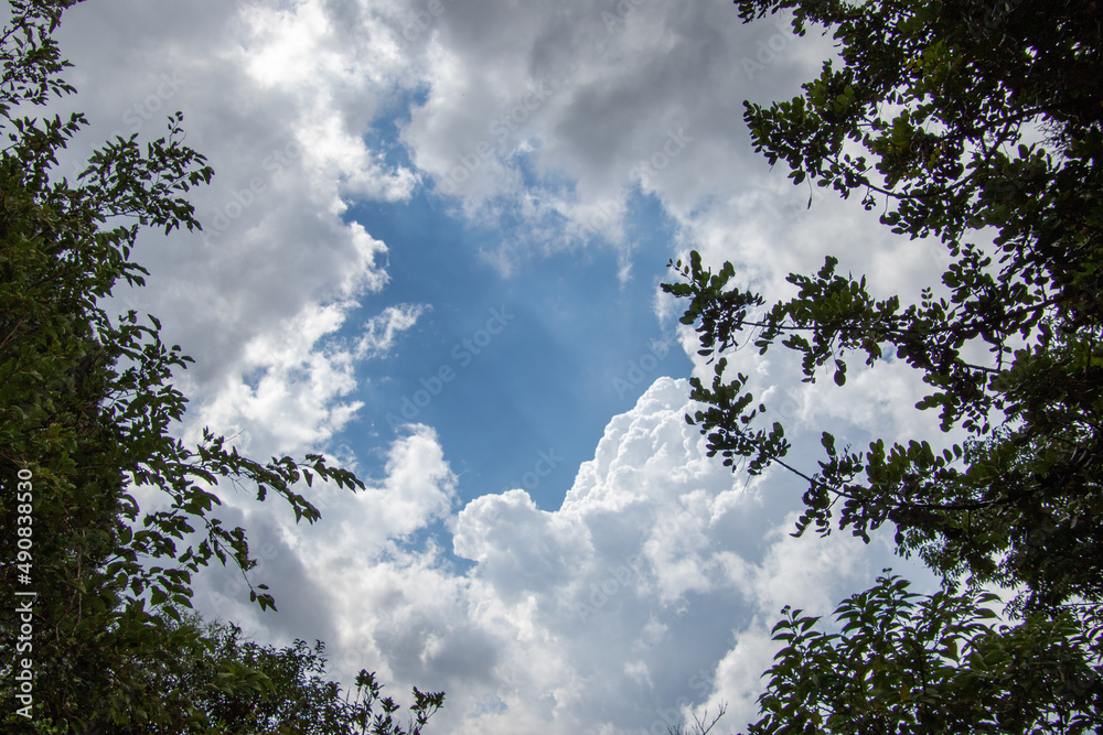 Fototapeta premium Storm clouds edged by silhouetted tree branches