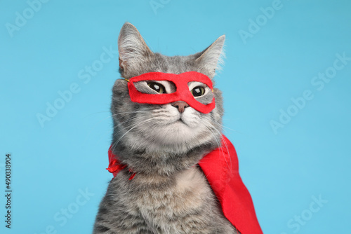 Adorable cat in red superhero cape and mask on light blue background photo