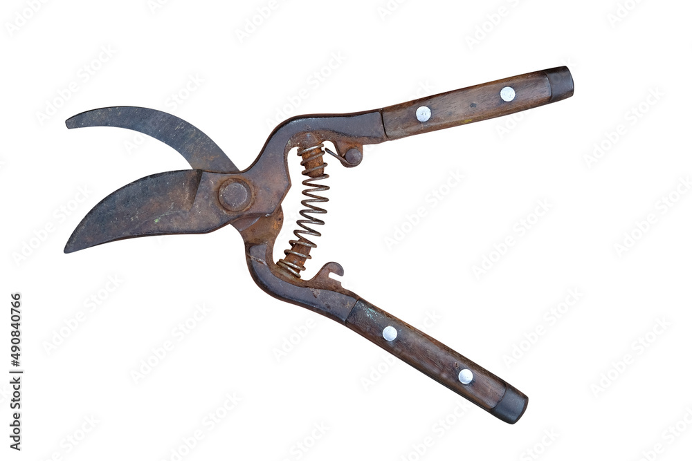 Scissors for cutting metal. Old metal cutting scissors and new with wood  handles white background,Clipping path Stock Photo