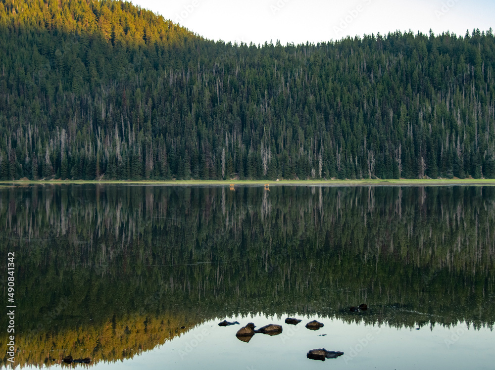 Obraz premium lake in the mountains