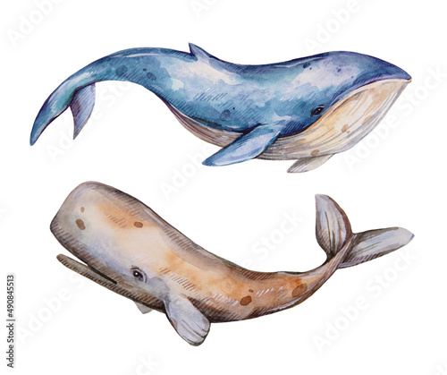 Watercolor hand painted Whale. Blue, sea, whales. Illustration isolated on white background. Use it for postcards, invitations, and scrapbooking.