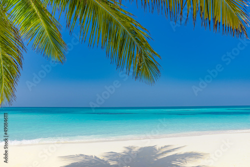 Tranquil sunny tropical beach shore with palm tree leaves and turquoise water, Summer island vacation, hot summer day, sunlight, palm shadow endless sea view over white sand and horizon and blue sky