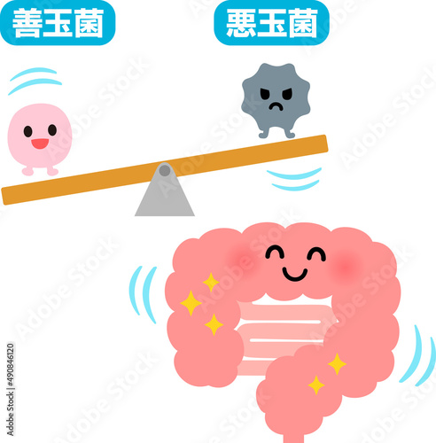 善玉菌が優勢な腸のキャラクター、腸内環境