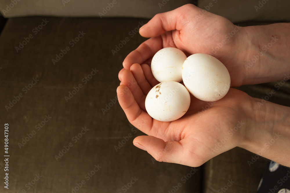 Top view of man holds three organic raw chicken eggs in his palms. Low carb diet. Easter holiday concept. Top view of man holds three organic raw chicken eggs in his palms. Low carb diet. Easter holiday concept.