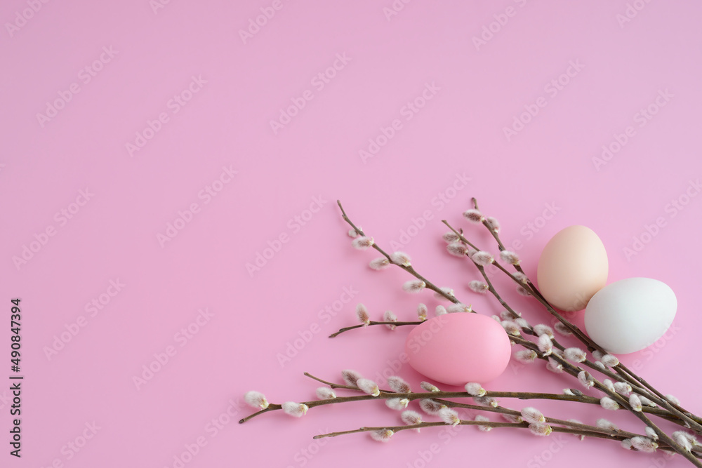 Easter eggs with willow bunch on pink table. Pussy willow twigs and colored eggs on a pink background.  Easter backdrop with willow brunches